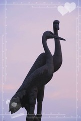 黄鹤归来