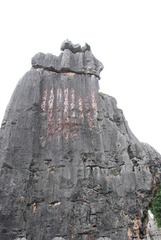 小石林主席诗词