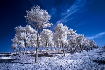 _DSC3869 1