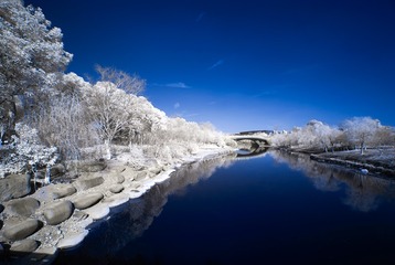 _DSC3901