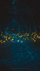 仲夏夜