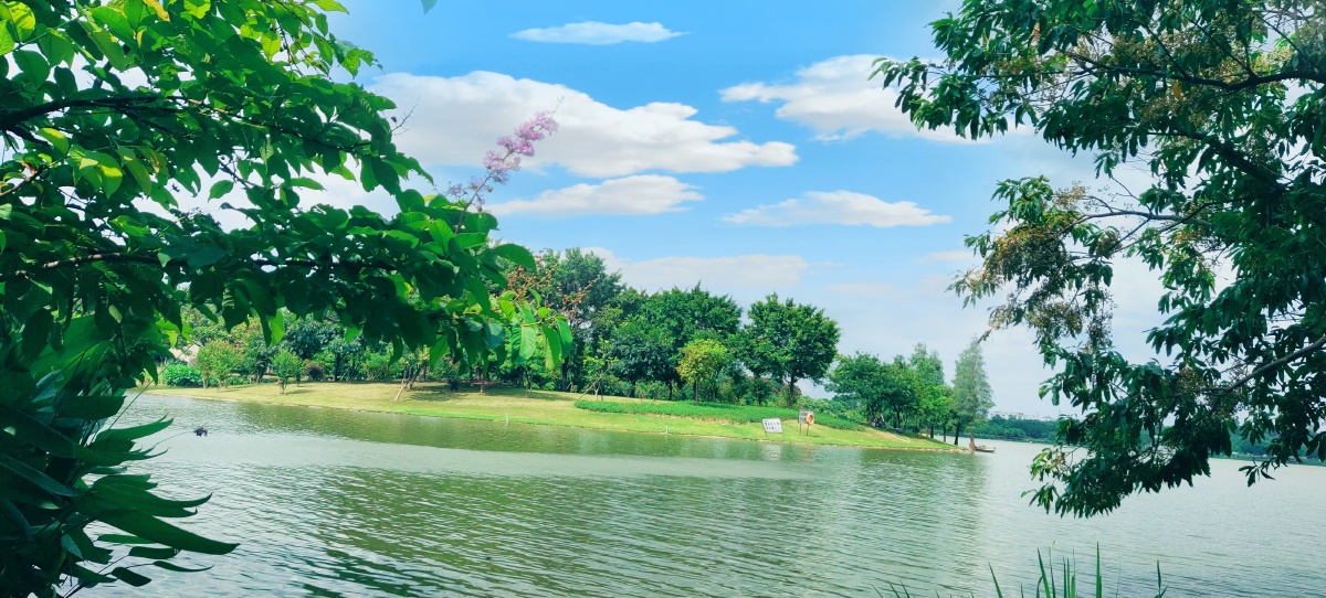 广州白云湖公园