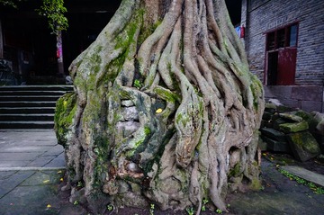 _DSC0885