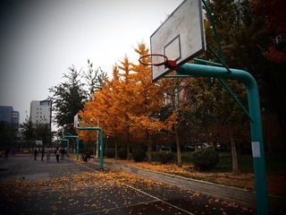 PB052672.JPG