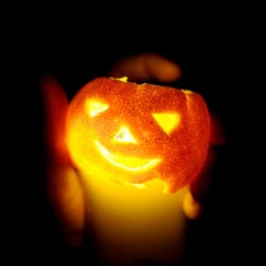 DSCF3864-1.jpg