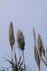 B00BA70C-BF28-4ABB-8DF6-640040642B84/L0/001