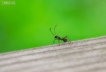IMGP5829_1