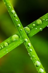 水珠的立交桥