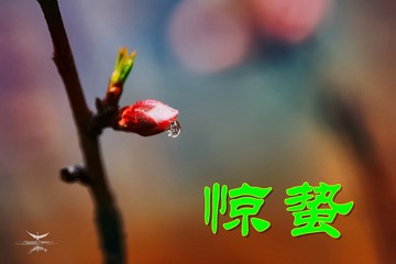 惊蛰