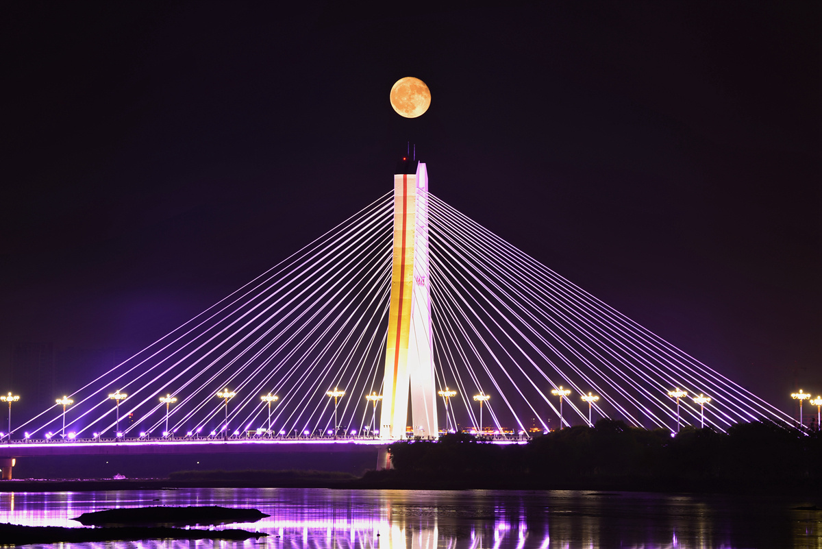 青云大桥夜景拍摄于山东安丘汶河湿地