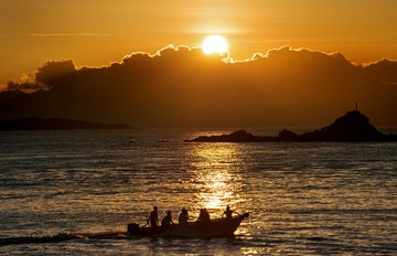 _DSC5249