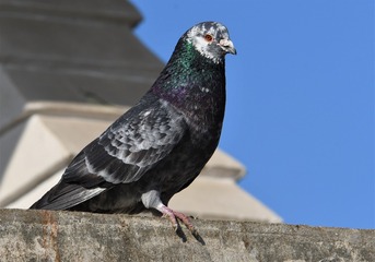 182806