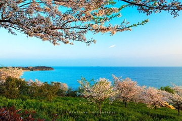 面朝大海，春暖花开