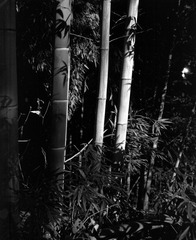 SCAN-1-155.jpg