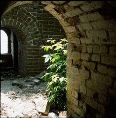 SCAN-1-137b.jpg