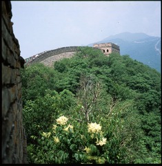 SCAN-1-129b.jpg
