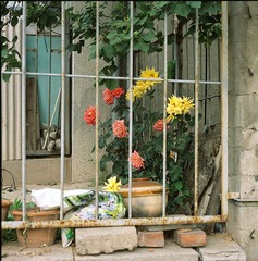 SCAN-12.jpg