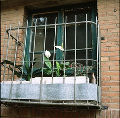 SCAN-17.jpg