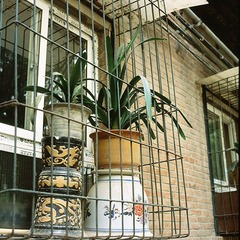 SCAN-18.jpg