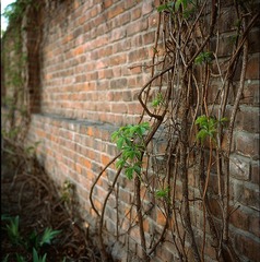 SCAN-4.jpg