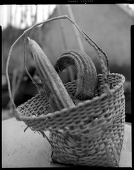 Scan-130324-04.jpg