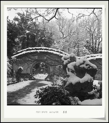 Scan-1