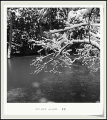 Scan-6