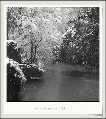 Scan-7