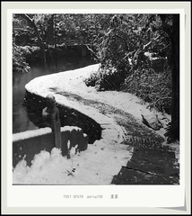 Scan-9