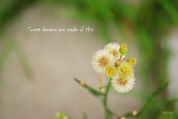 Sweet Dreams