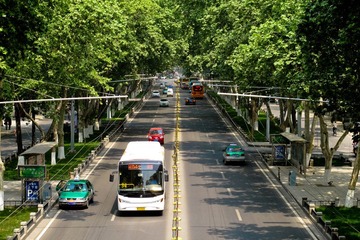 IMG_3466.JPG