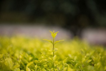 C99A0227.jpg