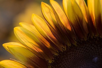 C99A9342.jpg