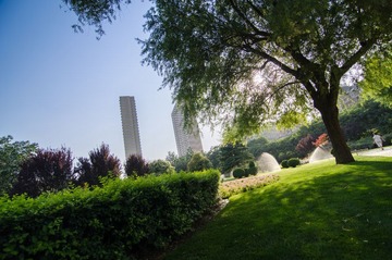 D7K_7118.jpg