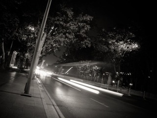 IMG_0325.jpg