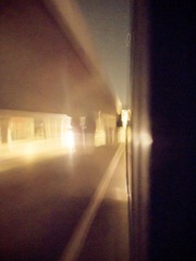 IMG_0949.jpg