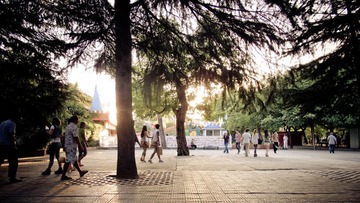 IMG_1605.jpg
