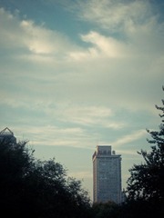 IMG_1633.jpg