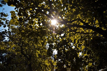 D7K_7206.JPG
