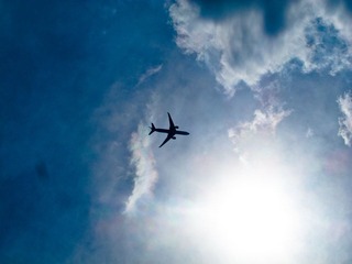 IMG_3193.jpg