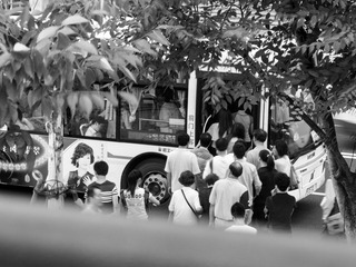 IMG_3419.jpg