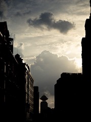 IMG_3532.jpg