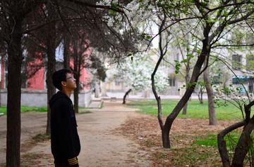 D7K_9230.JPG