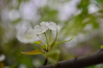 D7K_9349.JPG