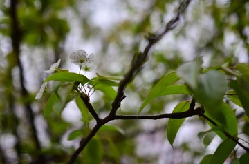 D7K_9352.JPG