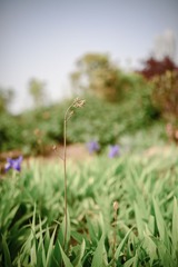 DSC_6963.jpg
