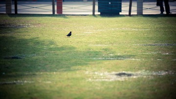 DSC_7095.jpg