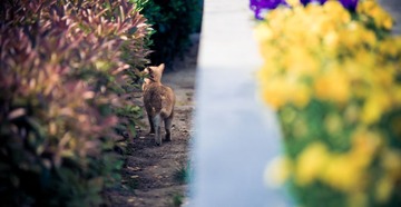 DSC_7132.jpg