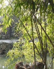 SDC10477 
