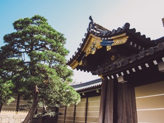 二条城1-3